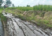 Andi Eca, Kurang Peka Pemkab Bulukumba Dengan Kondisi Jalan Dusun