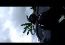 Portal Covid-19, Dua Kampung di Sentani Ribut