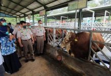 Kementan Berikan Pendampingan, Program Usaha Peternakan Muda di Daerah Potensi Pengembangan Peternakan