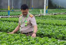 Video Advertorial: Kementerian Pertanian RI, SYL Terus Berbenah