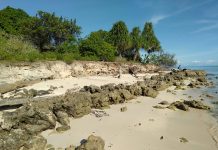 Abrasi Mengancam Kehidupan Masyarakat Desa Kolorai, Masyarakat Desak Pembangunan Talud