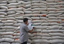 Capai Rp2 juta, Harga Beras di Area Tambang Papua