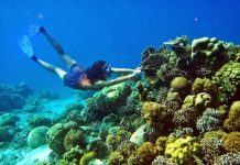 Bom dan Pembiusan Ikan Marak di Pulau Sanrobengi Takalar