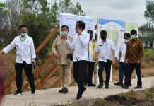 Mentan SYL, Dampingi Presiden dan Menhan Tinjau Kawasan ‘Food Estate’