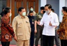 Ke Kalteng Jokowi dan Prabowo Tinjau Lahan Food Estate