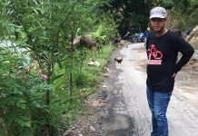 KP-GRD: Kontraktor Asal Kerja, Kadis PUPR Sinjai di Sarankan Hentikan Pembayaran Termyn 100 Persen