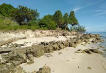 Abrasi Pantai Makin Meluas di Kolorai, Pembangunan Talud Belum Bisa Dilaksanakan Kondisi abrasi di Desa Kalorai