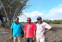 Masyarakat Asli Papua Bergandengan Tangan Menuju Kemandirian Pangan Lokal