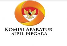 KASN: Calon Kepala Daerah di Merauke Berstatus ASN, Wajib Mundur dari ASN