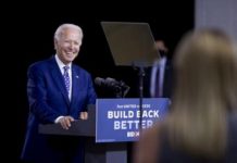 Polisi Chile Latih Anjing Pelacak, Diteksi Virus corona