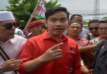 Rocky Gerrung: Pilkada Solo, ‘Kotak Kosong VS Otak Kosong’