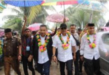 Erwin Usman: Warga Sultra, Inilah 7 Calon Kepada Daerah Rekomendasi PDI Perjuangan