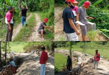 Pemda Tana Toraja Libatkan Mahasiswa KKN UKI Toraja dalam Program Padat Karya