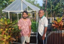 OPINI: Melihat Potensi Pengembangan Kankung Hidroponik di Morotai