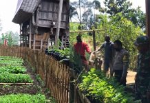 Lembang To’pao Fokus Menjaga Ketahanan Pangan Bersama Mahasiswa KKN UKIT