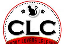 CLC Brotherhood Turatea, Komunitas Pencinta Kucing