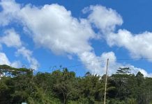 Viral, Victor Datuan Batara Atur Lalu Lintas Saat Menuju Acara Deklarasi