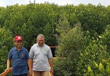 Prof. Adi Susilo, Tawari ARB Jadi Pengajar, ARB Lebih Memilih Menggurusi Hutan Mangrove Sebuah Peradaban Makassar”