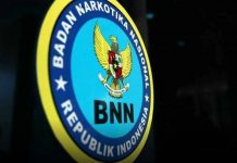 Terlibat Narkoba, BNN Palopo Ciduk KaDes bersama Bendahara Desa Patila