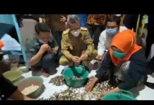 Di Pinrang Gubernur Sulsel, Eksport Perdana Kemiri di Masa Pandemi Covid-19