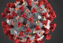 Tahun Baru, Varian Baru Viruscorona, Kemenkes: Segera Berkonsultasi dengan Ahli Mikrobiologi Kedokteran