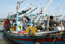 KKP Realisasi Pencairan Dana KUR Sektor Kelautan dan Perikanan Mencapai Rp5,2 T