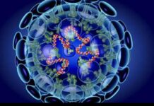 Muncul Temuan Varian Baru Virus SARS-CoV-2, Kemenkes Jalani (MoU) dengan Kemenristek/BRIN