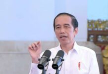 Jokowi: Inginkan Lumbung Food Estate Sumut dan Kalteng Selesai Tahun ini