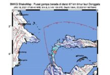 BMKG, Gempa 4.9 Magnitudo di Donggala Sulteng