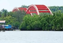 KSDA Papua Tanam 5000 Bibit Magrove Tahun 2021