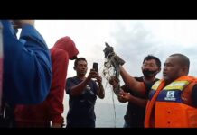 Bupati Kepulauan Seribu, ada pesawat jatuh di sekitar Pulau Laki, Kepulauan Seribu