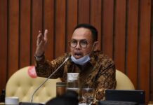 Andi Akmal: Food Estate, Jangan Dijadikan Pencitraan Tanpa Eksekusi Terukur