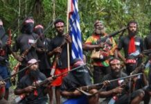 Satgas Damai Cartenz dan Polres Mimika, Tangkap Pucuk Pimpinan Teroris KKB