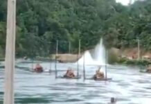 Aliran Sungai Poso Dibom, Akvitis Lingkungan Hidup Soroti Perusahaan Milik JK