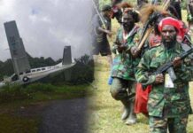 KKB Papua Harus Ditumpas