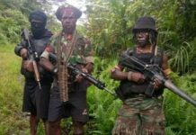 TPN-OPM Kirim Surat, Tantang TNI-Polri Perang Terbuka di Sugapa