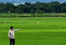 Mentan SYL Buka Food Estate di NTT