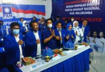 Wakil Bupati Terpilih, Pimpin DPD PAN Bulukumba