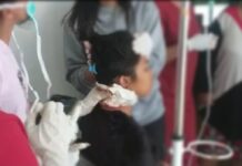 Lagi KKB Bacok Warga Sipil, Ibu Rumah Tangga jadi Korban di Puncak Jaya