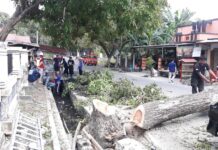Camat Ujung Bulu, Harap Masyarakat untuk Menjaga Lingkungannya Usai Pembersihan Kanal dan Drainase