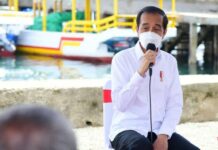 Ini Kunker Jokowi di Ambon Manise