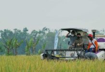 SYL, Kementan Bersinergi dengan Bulog dan Swasta Serap Gabah