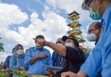 Siti Nurbaya Kunjungi Calon Ibu Kota Baru di Kaltim