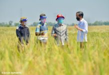 Di Tengah Isu Reshuffle Kabinet, SYL Masih Bersama Presiden Hadiri Panen Raya