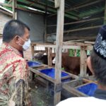 Berlatar Belakang Pengusaha Sukses, Bupati Temui Pelaku Usaha dan Peternak Sapi Bulukumba, Beri Edukasi