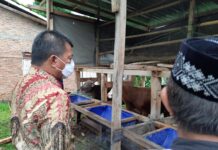 Berlatar Belakang Pengusaha Sukses, Bupati Temui Pelaku Usaha dan Peternak Sapi Bulukumba, Beri Edukasi