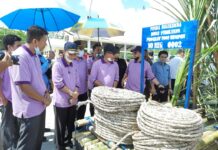 Jelang 100 Hari Kerja Pasangan Harapan Baru Bulukumba, Tepati Janji Canangkan 1000 Rumpon bagi Kelompok Nelayan, Berikan Bantuan Rumpon
