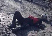 Tembak Tukang Bangunan, Kelompok Teroris OPM Kembali Bunuh Warga Sipil