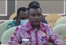 Bahas Revisi Undang-Undang Otsus, Muncul Wacana Pemekaran Papua Selatan