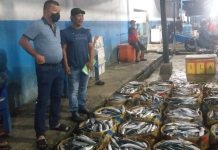 Kapal Ikan Miliknya Lego Jangkar, Bupati Bulukumba Terlihat Jual Ikan di TPI Lappa Sinjai